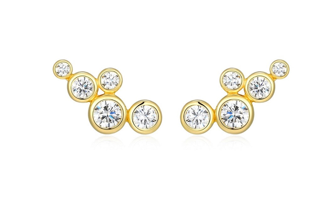 Sterling Silver Earrings